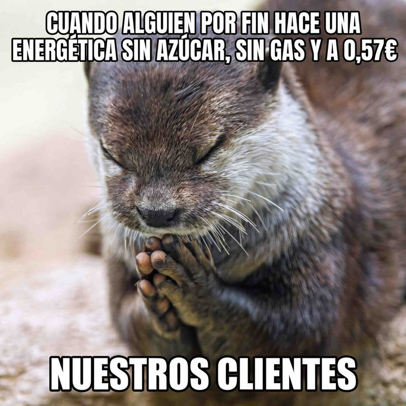 Z Drinks sobre nosotros animal — el ADN de una marca que rinde sin pedir perdón / Z Drinks about us animal — the DNA of a brand that performs without apology